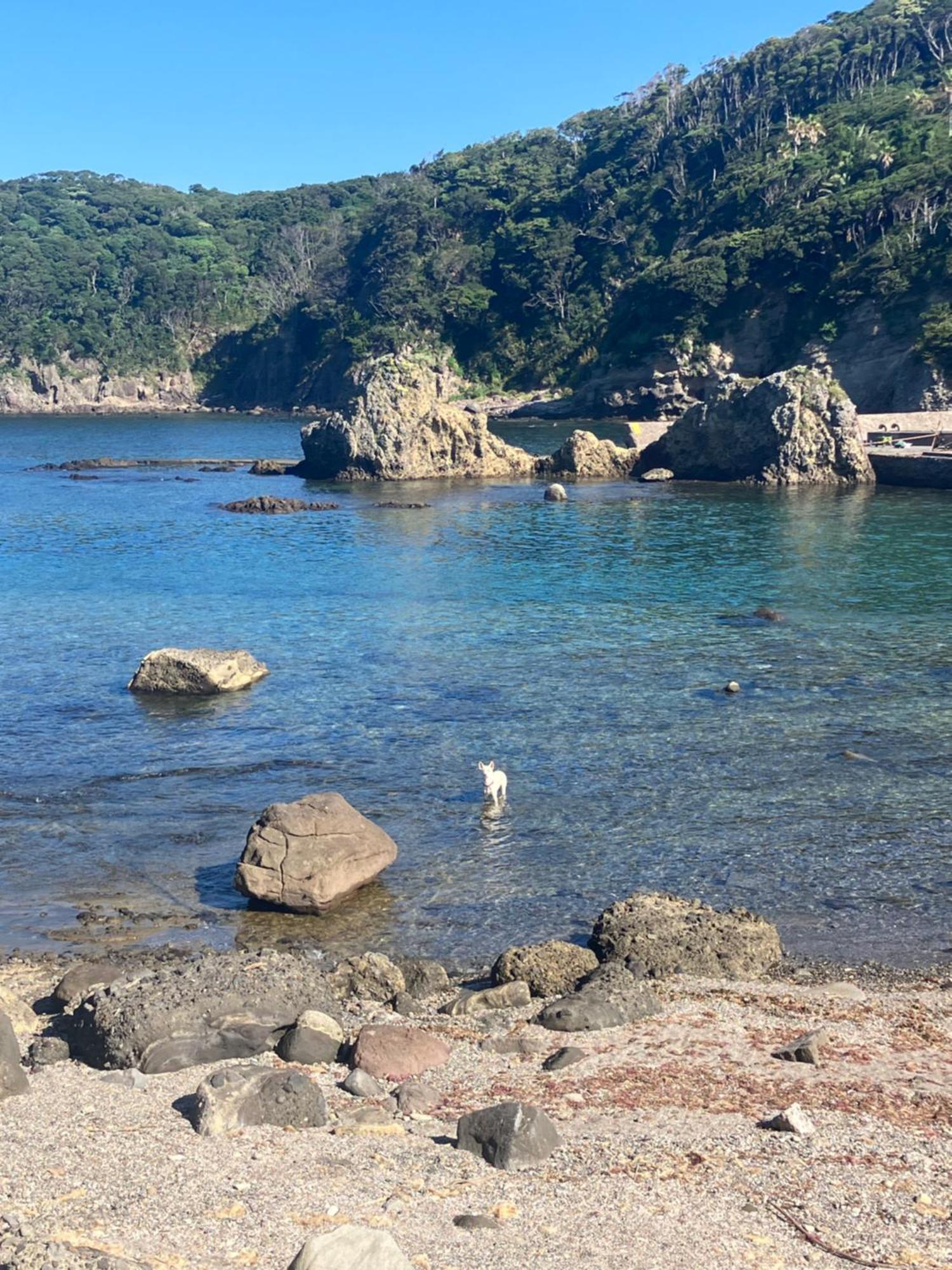 貸別荘吉佐美苑 Shimoda  Buitenkant foto