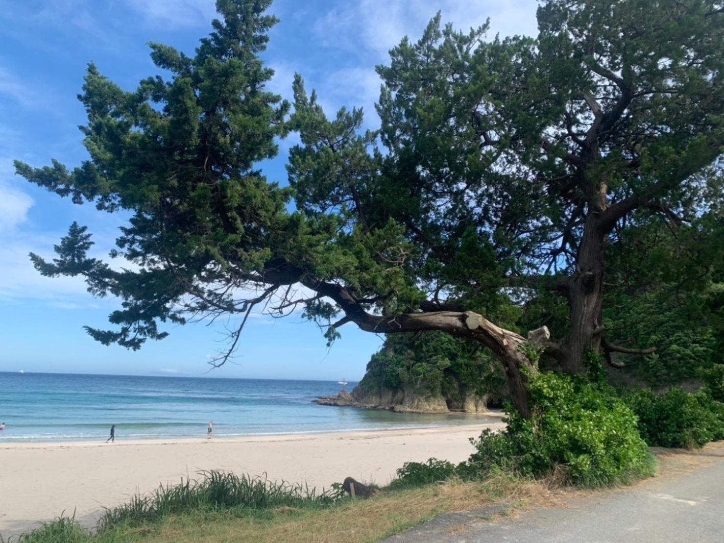 貸別荘吉佐美苑 Shimoda  Buitenkant foto